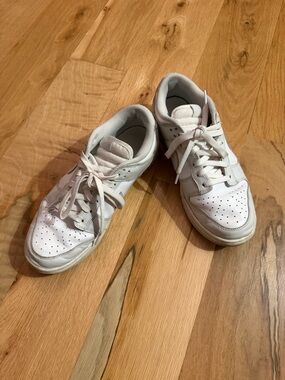 Nike Low Dunk Sneakers